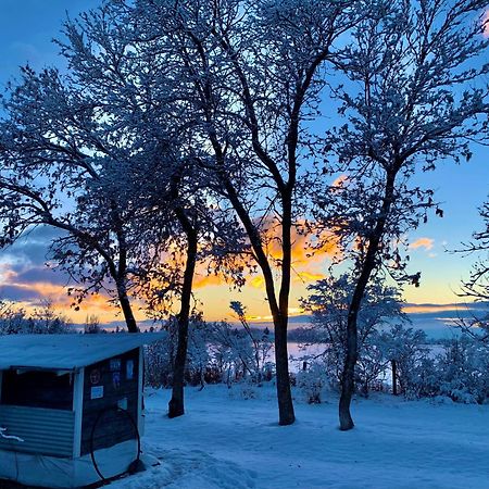 Fox Hollow Inn Бозмен Екстер'єр фото